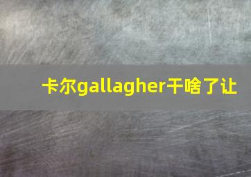 卡尔gallagher干啥了让