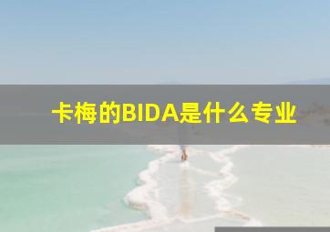 卡梅的BIDA是什么专业