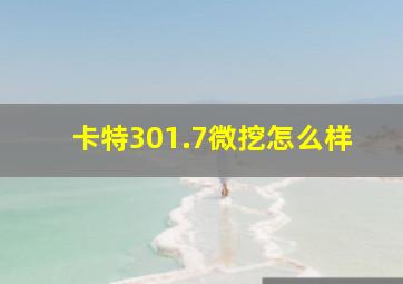 卡特301.7微挖怎么样