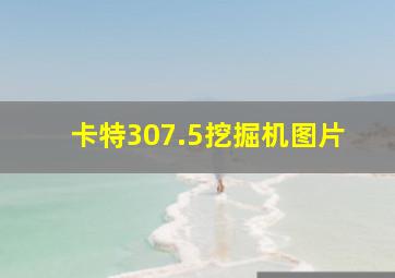 卡特307.5挖掘机图片