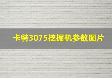 卡特3075挖掘机参数图片