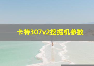 卡特307v2挖掘机参数