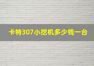 卡特307小挖机多少钱一台