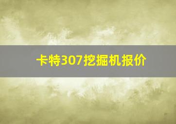 卡特307挖掘机报价