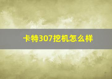 卡特307挖机怎么样