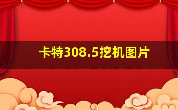 卡特308.5挖机图片