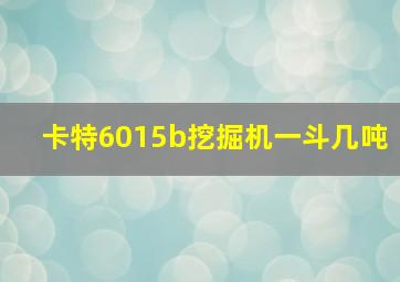 卡特6015b挖掘机一斗几吨