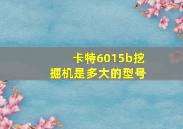 卡特6015b挖掘机是多大的型号