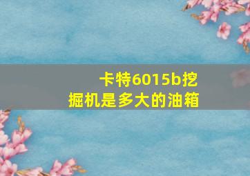 卡特6015b挖掘机是多大的油箱