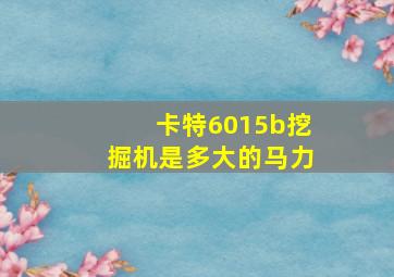 卡特6015b挖掘机是多大的马力