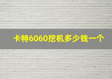 卡特6060挖机多少钱一个