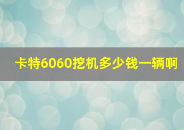 卡特6060挖机多少钱一辆啊