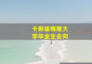 卡耐基梅隆大学毕业生去向