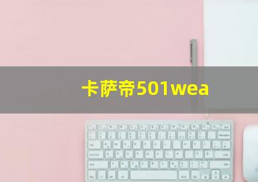 卡萨帝501wea