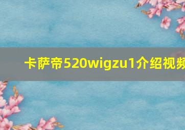 卡萨帝520wigzu1介绍视频