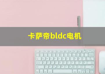 卡萨帝bldc电机