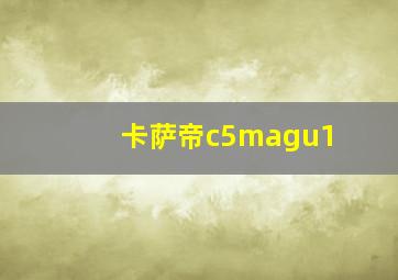 卡萨帝c5magu1