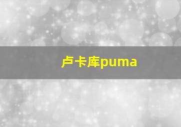 卢卡库puma