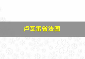 卢瓦雷省法国