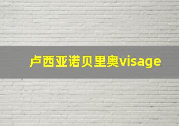 卢西亚诺贝里奥visage