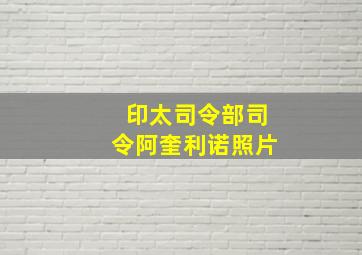 印太司令部司令阿奎利诺照片