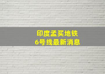 印度孟买地铁6号线最新消息