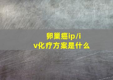 卵巢癌ip/iv化疗方案是什么