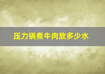 压力锅煮牛肉放多少水