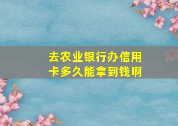 去农业银行办信用卡多久能拿到钱啊