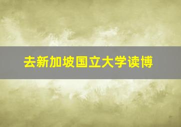 去新加坡国立大学读博