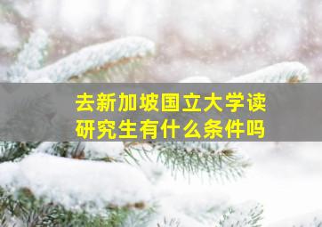 去新加坡国立大学读研究生有什么条件吗