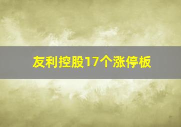 友利控股17个涨停板