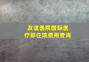 友谊医院国际医疗部住院费用查询