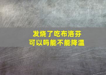 发烧了吃布洛芬可以吗能不能降温