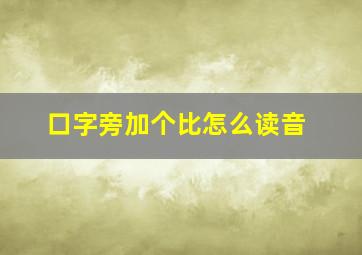 口字旁加个比怎么读音