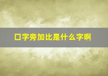 口字旁加比是什么字啊