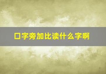 口字旁加比读什么字啊