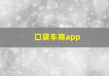 口袋车商app