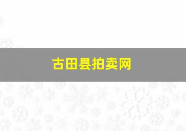 古田县拍卖网