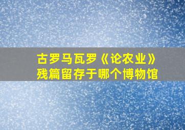 古罗马瓦罗《论农业》残篇留存于哪个博物馆