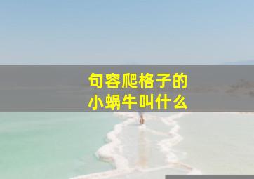 句容爬格子的小蜗牛叫什么