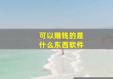 可以赚钱的是什么东西软件