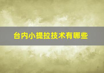 台内小提拉技术有哪些