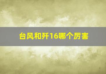 台风和歼16哪个厉害