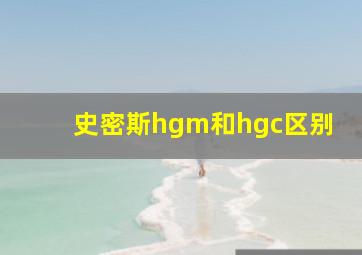 史密斯hgm和hgc区别