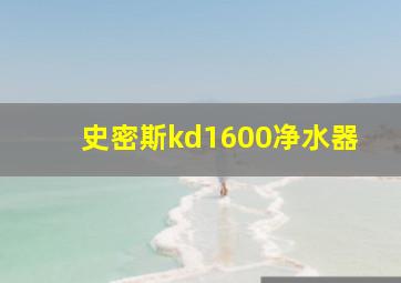 史密斯kd1600净水器