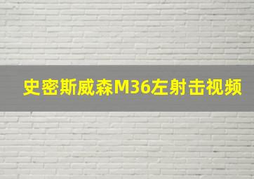 史密斯威森M36左射击视频