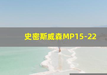 史密斯威森MP15-22