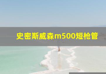 史密斯威森m500短枪管