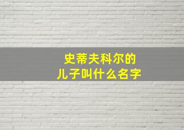 史蒂夫科尔的儿子叫什么名字